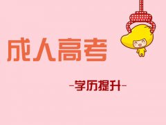 成考本科學士學位重要嗎？不考會有影響嗎？