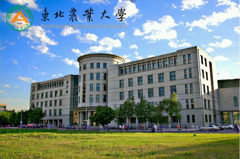 東北農(nóng)業(yè)大學(xué)