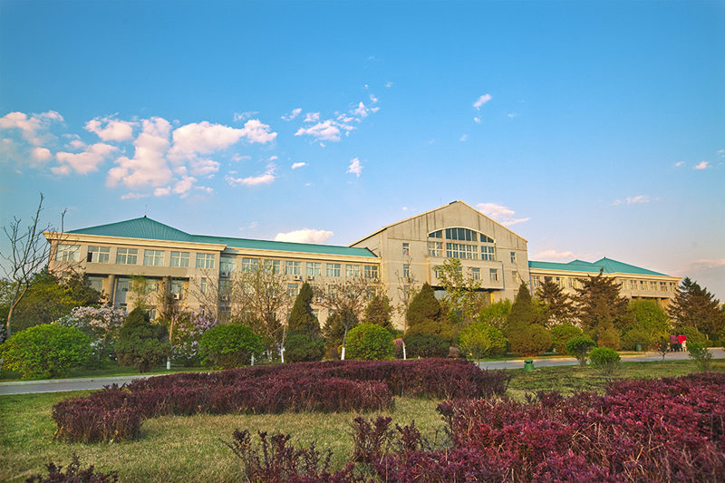 沈陽大學