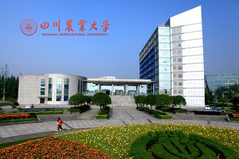 四川農(nóng)業(yè)大學(xué)