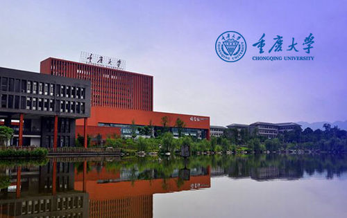 重慶大學(xué)