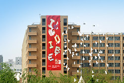 對外經(jīng)濟貿(mào)易大學