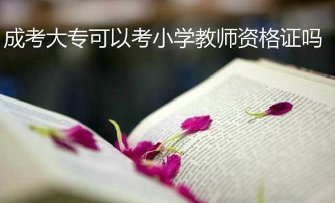 成考大?？梢钥夹W(xué)教師資格證嗎？帶你了解成考大專學(xué)歷的用途