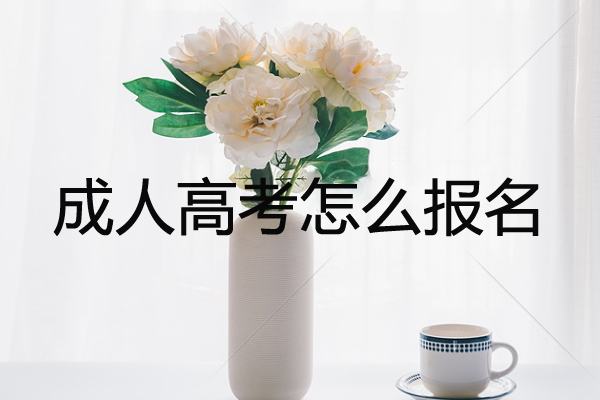 深圳函授大專在哪里報名？報名費用是多少？