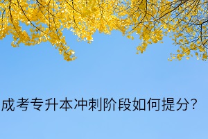 成考專升本沖刺階段如何提分？如何在短時間內提高成績？　