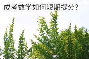 成考數(shù)學如何短期提分？有效的復習方法是什么？