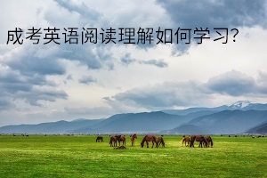 成考英語(yǔ)閱讀理解如何學(xué)習(xí)？英語(yǔ)閱讀得高分的秘訣是什么？
