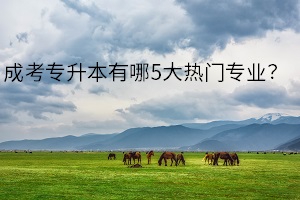 成考專升本有哪5大熱門專業(yè)？你想好選擇什么專業(yè)了嗎？
