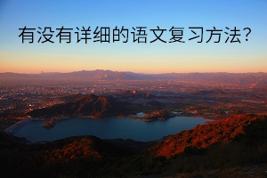 有沒有詳細的語文復習方法？成考語文不知道怎么復習？