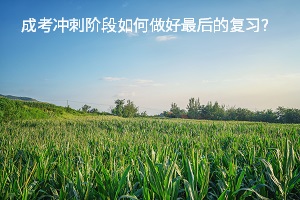 成考沖刺階段如何做好最后的復(fù)習(xí)？考前如何平衡作息？