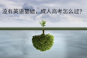 沒有英語基礎(chǔ)，成人高考怎么過？英語復(fù)習(xí)看準(zhǔn)這4點(diǎn)！