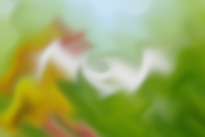 過(guò)來(lái)人告訴你，其實(shí)成人專升本語(yǔ)文并沒(méi)有那么難