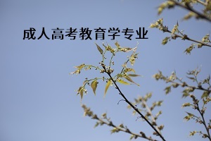 成人高考教育學(xué)專業(yè)考什么？教育學(xué)專業(yè)介紹