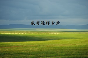 成人高考熱門(mén)專(zhuān)業(yè)有哪些？從哪些方面選擇專(zhuān)業(yè)？