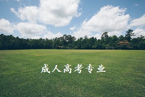 成人高考管理類專業(yè)需要學(xué)習(xí)哪些主要課程?