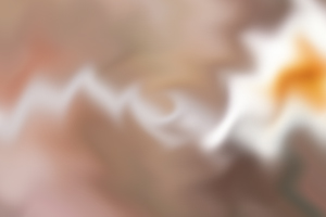寫好說明文需注意哪些問題？首要是注意觀察