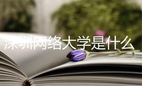 深圳網(wǎng)絡(luò)大學(xué)是什么？深大有網(wǎng)絡(luò)教育嗎？