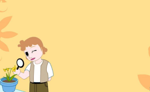 自考本科學信網可以查到嗎