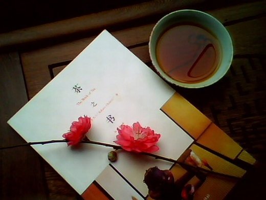 成人高考和自考的區(qū)別