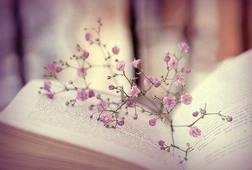 專接本和專升本的區(qū)別是什么