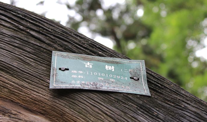 網(wǎng)絡(luò)教育統(tǒng)考一年有幾次考試