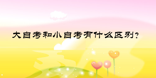 大自考和小自考有什么區(qū)別