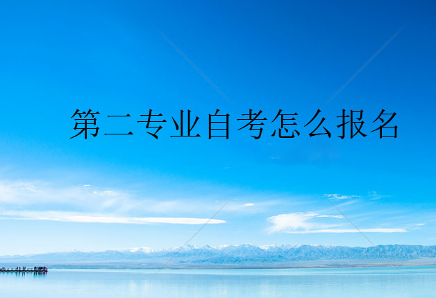 第二專業(yè)