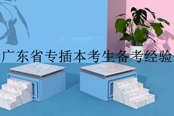 廣東省專插本