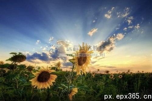 南開大學遠程教育學院本科招生嗎_www.epx365.cn