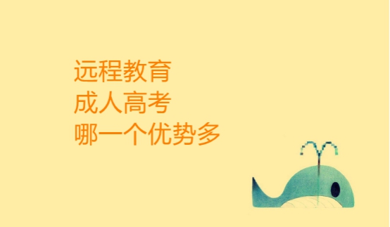 網(wǎng)絡(luò)教育和成人高考哪個好