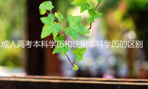成人高考本科學歷和統(tǒng)招本科學歷有什么區(qū)別嗎？
