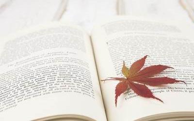 報讀深圳成人高考有書籍嗎？