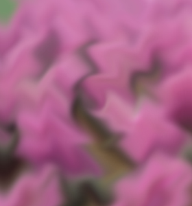 積極應(yīng)對(duì)考試前的心理焦慮和不自信，助你輕松取得成考高分