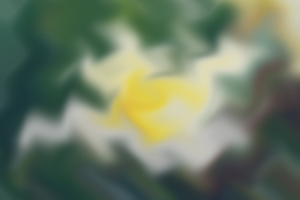 成人專升本語文小說材料精選《斷魂槍》的關(guān)鍵知識(shí)點(diǎn)講解
