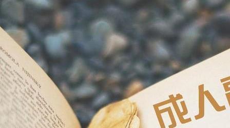 成人高考女生報考什么專業(yè)好？有什么專業(yè)介紹？