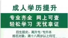 高起本和專起本是不是只差一個層次