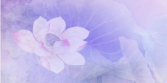 過來人說說自考機(jī)構(gòu)哪個(gè)好