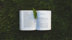 過來人說說自考本科考哪幾門？
