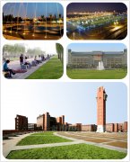 20年 鄭州大學(xué) 秋季專升本考試 報(bào)名啦！