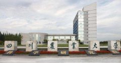 2020年四川農(nóng)業(yè)大學(xué)網(wǎng)絡(luò)教育招生簡(jiǎn)章