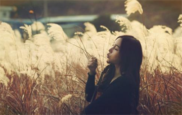 在職自考生如何拿到高分的技巧？