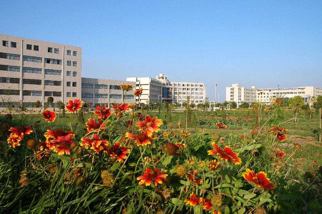 2020年重慶交通大學(xué)自考本科難不難