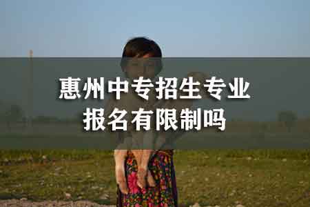 2020年廣州有哪些自考全日制商務(wù)英語(yǔ)大專(zhuān)本科學(xué)校招中專(zhuān)職中生