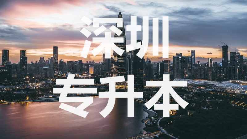 深圳灣_副本.jpg